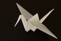 /album/origami/img-1227-jpg/